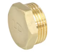 Заглушка латунь Ду 20 (3/4") НР LD LD.65.505.20